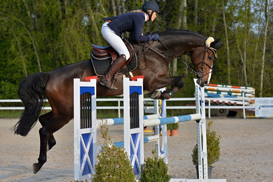 Skoková soutěž stupně „S*“ s návazným rozeskaková$