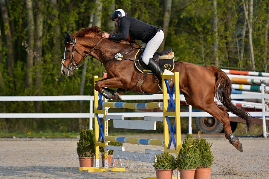 Skoková soutěž stupně „S*“ s návazným rozeskaková$