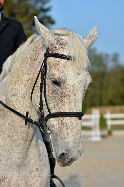 Skoková soutěž stupně „S*“ s návazným rozeskaková$