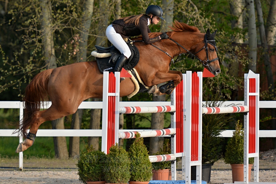 Skoková soutěž stupně „S*“ s návazným rozeskaková$