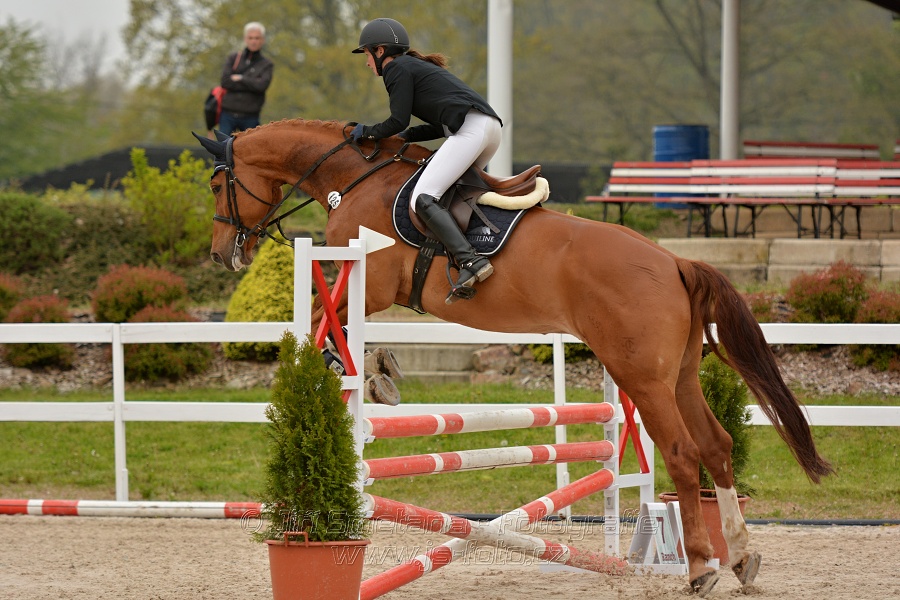 Skoková soutěž stupně „Z“