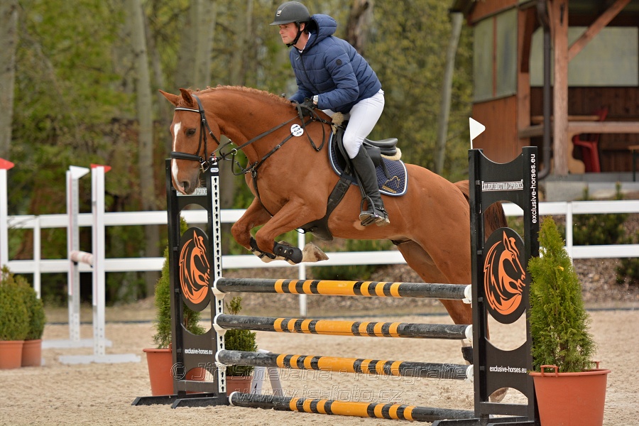 Skoková soutěž stupně „Z“