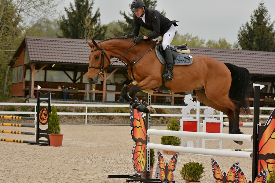 Skoková soutěž stupně „Z“