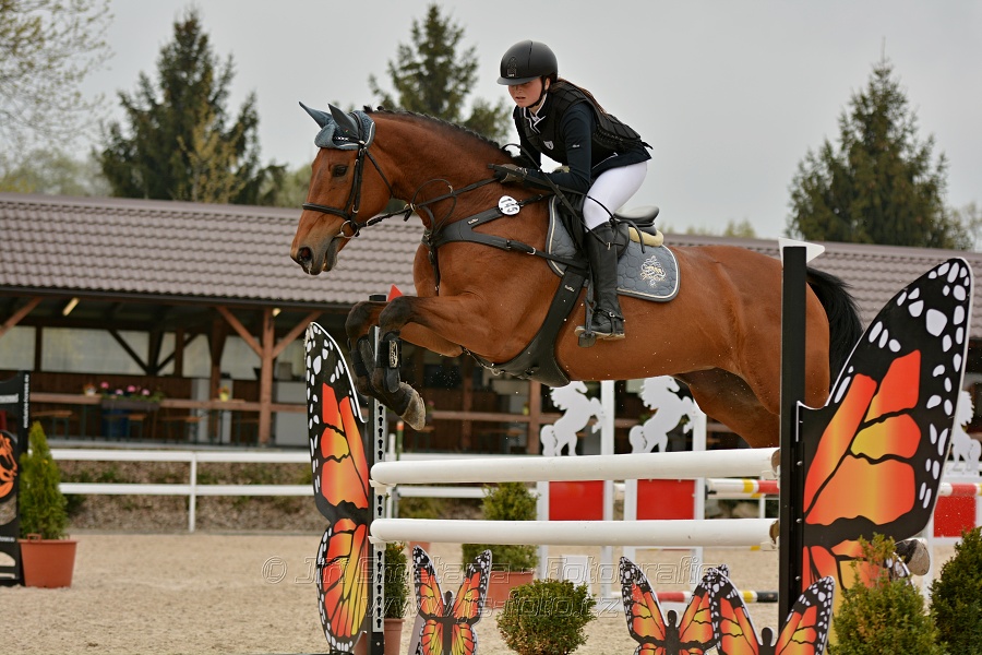 Skoková soutěž stupně „Z“