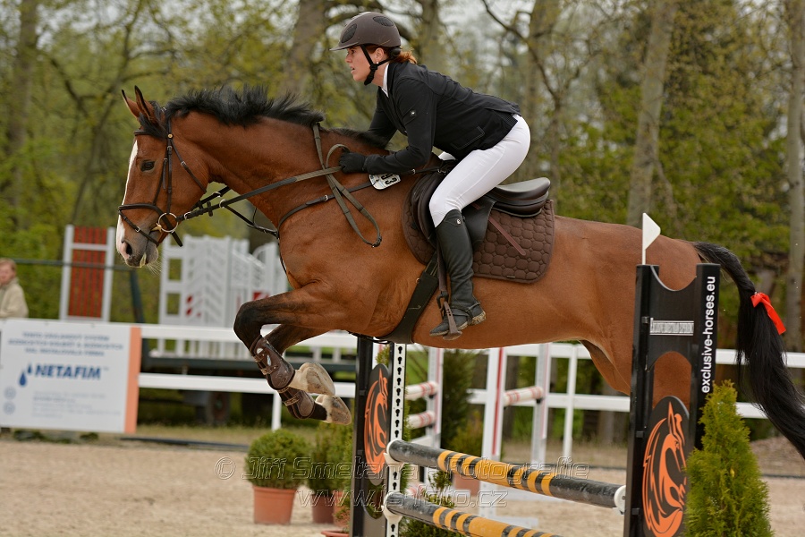 Skoková soutěž stupně „Z“