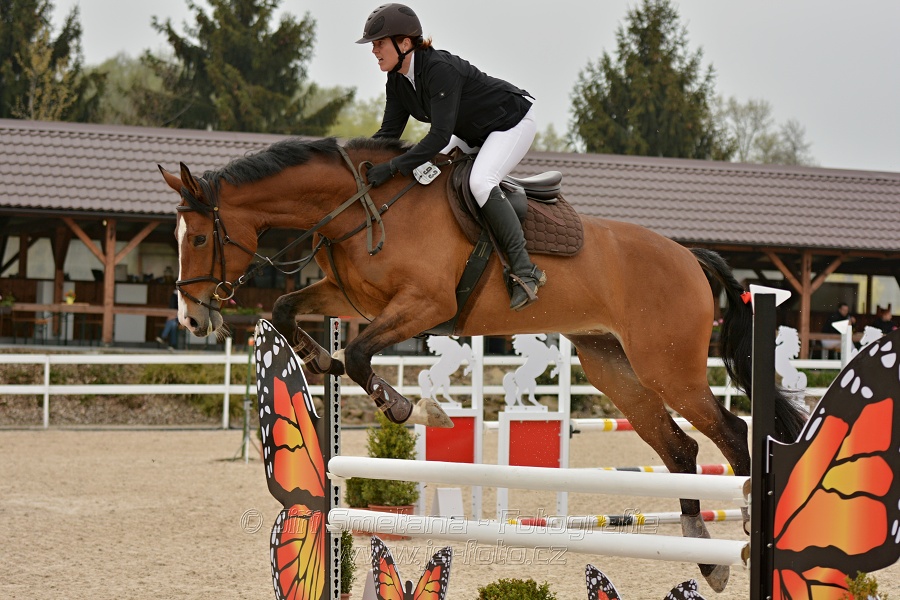 Skoková soutěž stupně „Z“