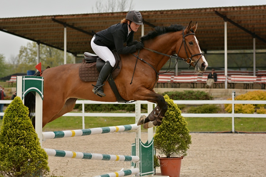 Skoková soutěž stupně „Z“