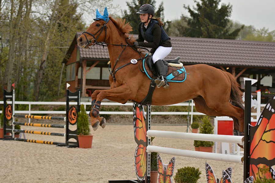 Skoková soutěž stupně „Z“