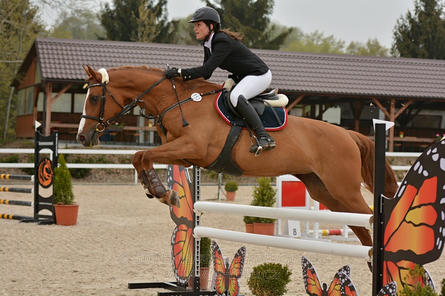 Skoková soutěž stupně „Z“