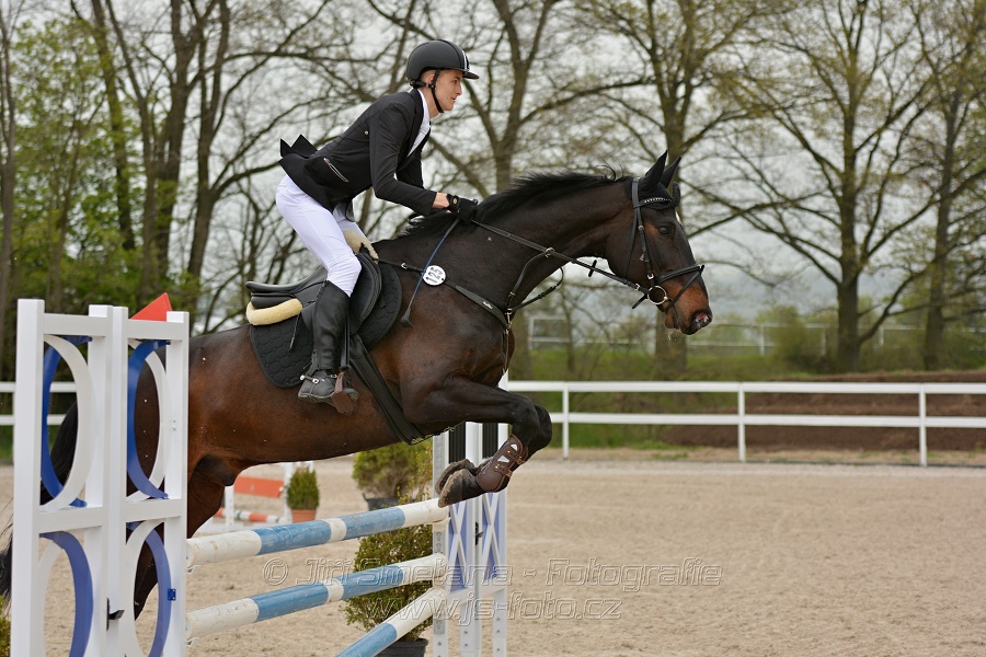 Skoková soutěž stupně „Z“