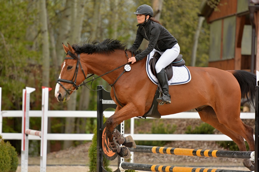 Skoková soutěž stupně „Z“