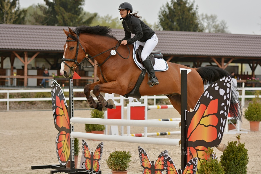 Skoková soutěž stupně „Z“