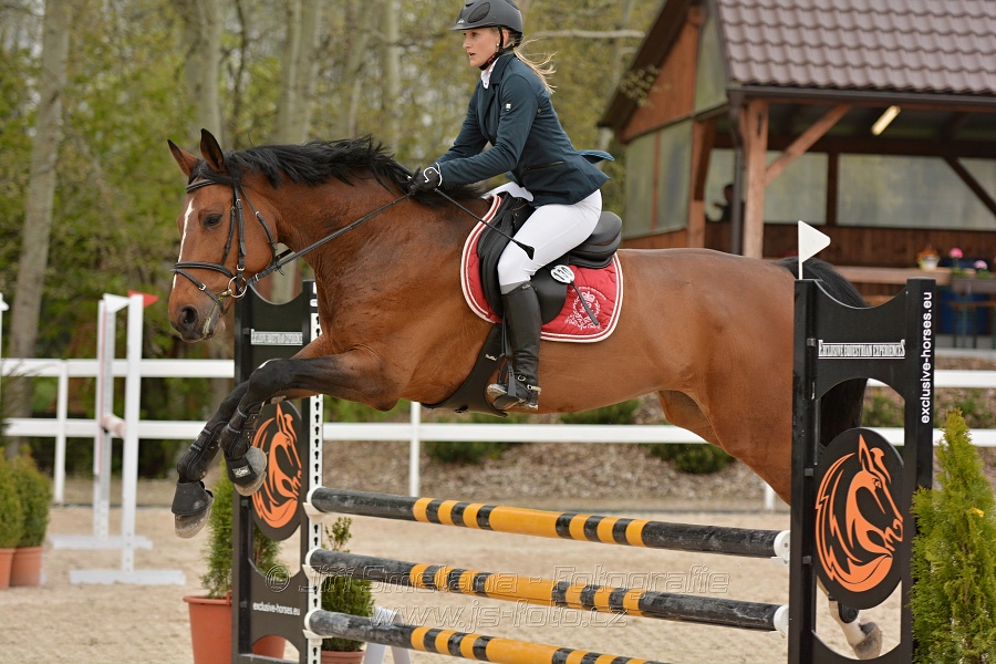 Skoková soutěž stupně „Z“