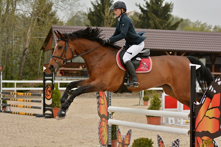 Skoková soutěž stupně „Z“