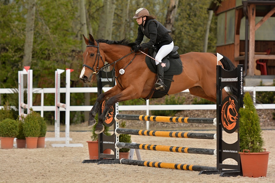 Skoková soutěž stupně „Z“