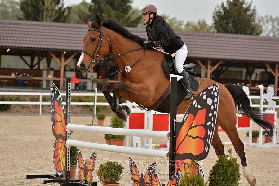 Skoková soutěž stupně „Z“