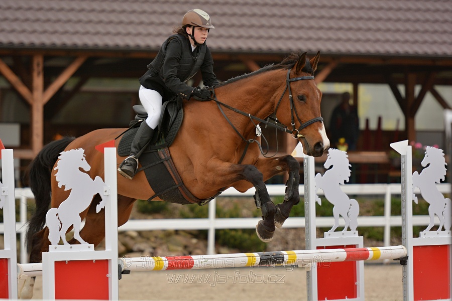 Skoková soutěž stupně „Z“