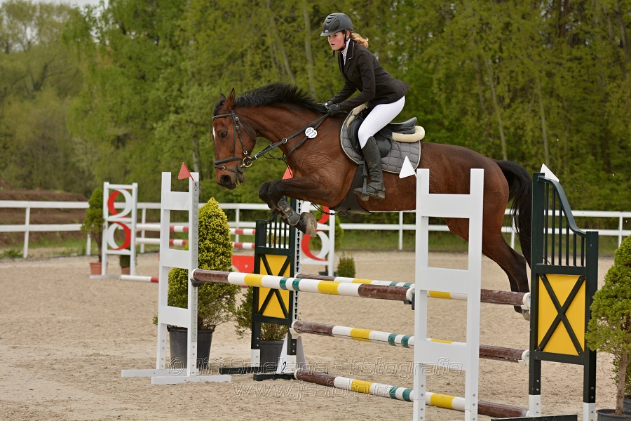 Skoková soutěž stupně „Z“