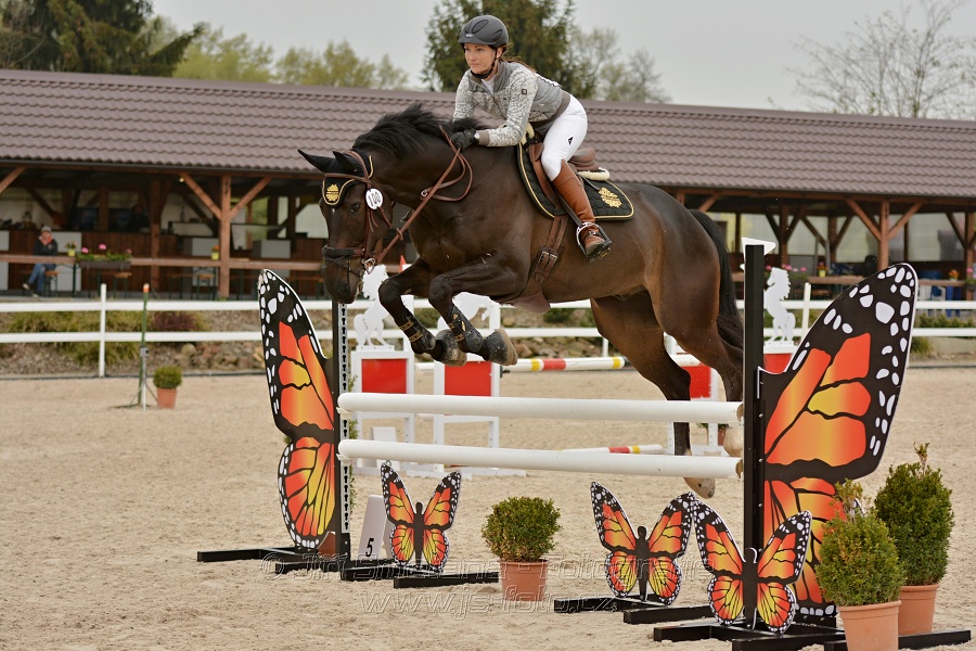 Skoková soutěž stupně „Z“