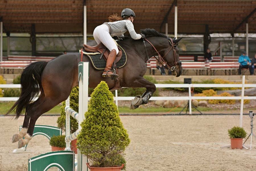 Skoková soutěž stupně „Z“