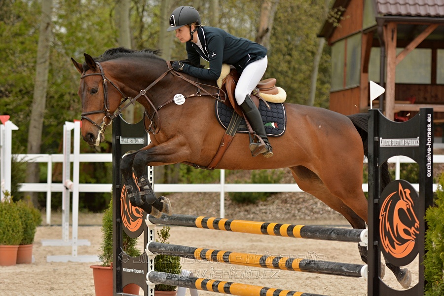 Skoková soutěž stupně „Z“