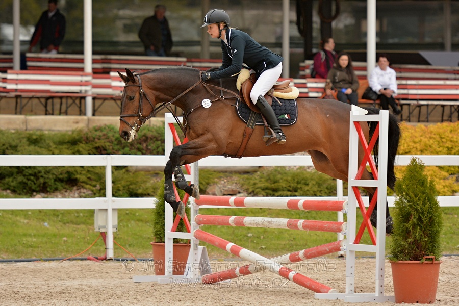 Skoková soutěž stupně „Z“