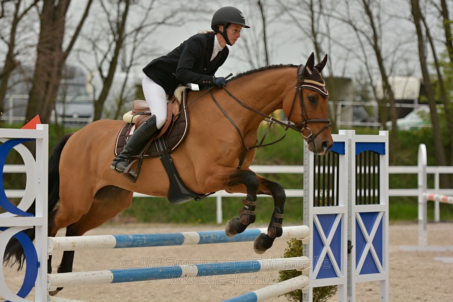 Skoková soutěž stupně „Z“