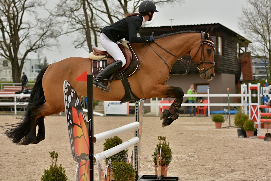 Skoková soutěž stupně „Z“