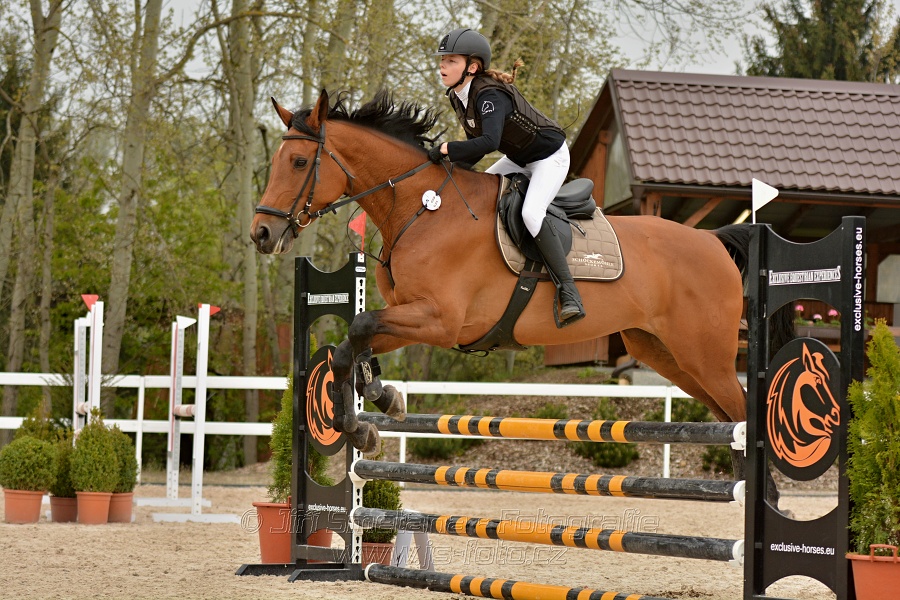 Skoková soutěž stupně „Z“