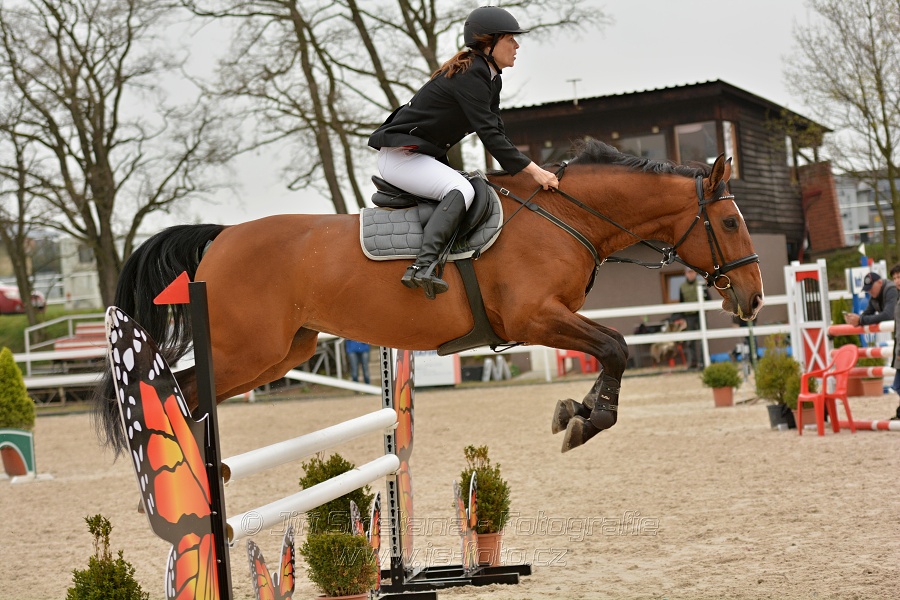 Skoková soutěž stupně „Z“