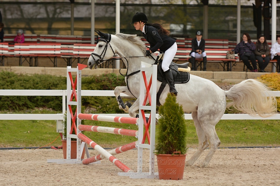 Skoková soutěž stupně „Z“