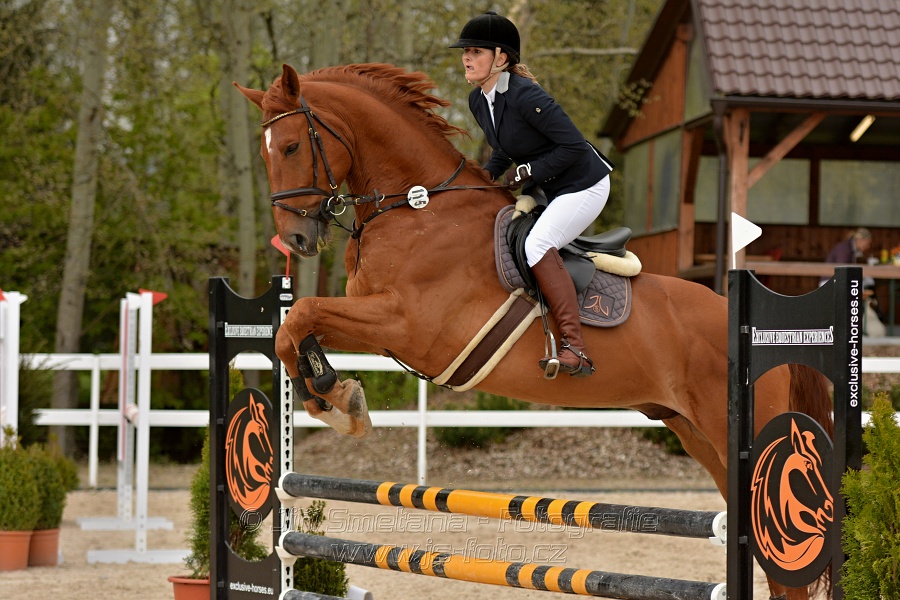 Skoková soutěž stupně „Z“