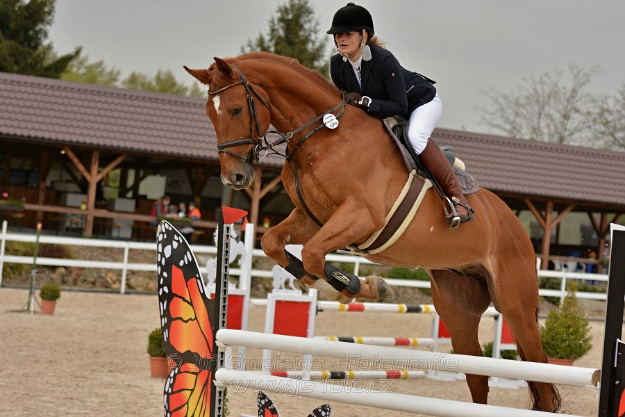 Skoková soutěž stupně „Z“