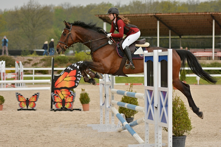 Skoková soutěž stupně „Z“