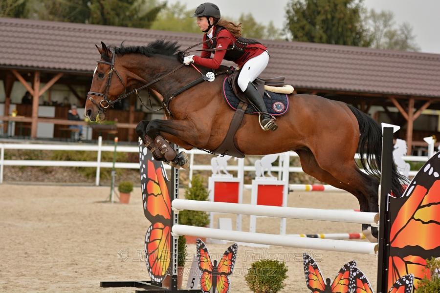 Skoková soutěž stupně „Z“