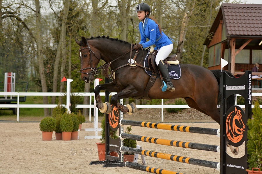 Skoková soutěž stupně „Z“