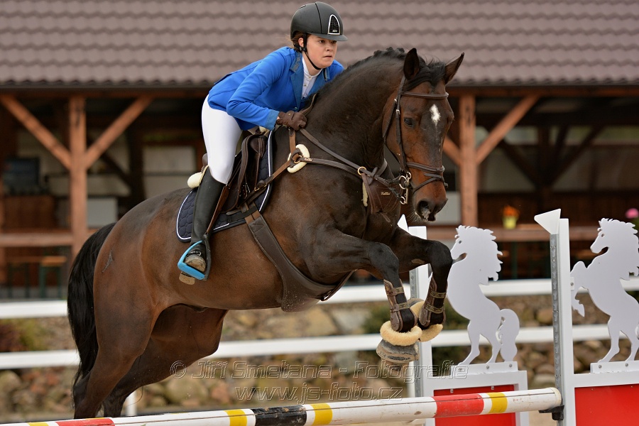 Skoková soutěž stupně „Z“