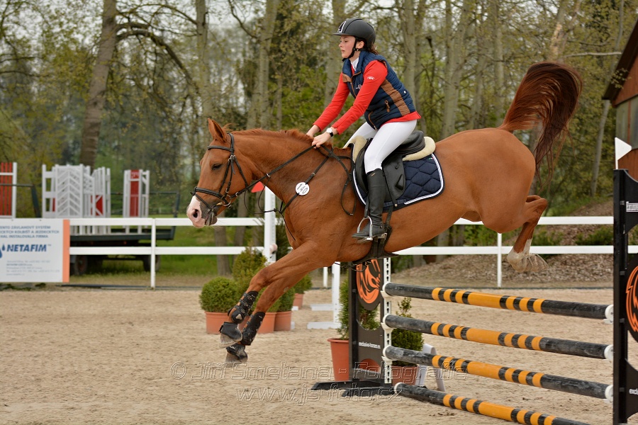 Skoková soutěž stupně „Z“