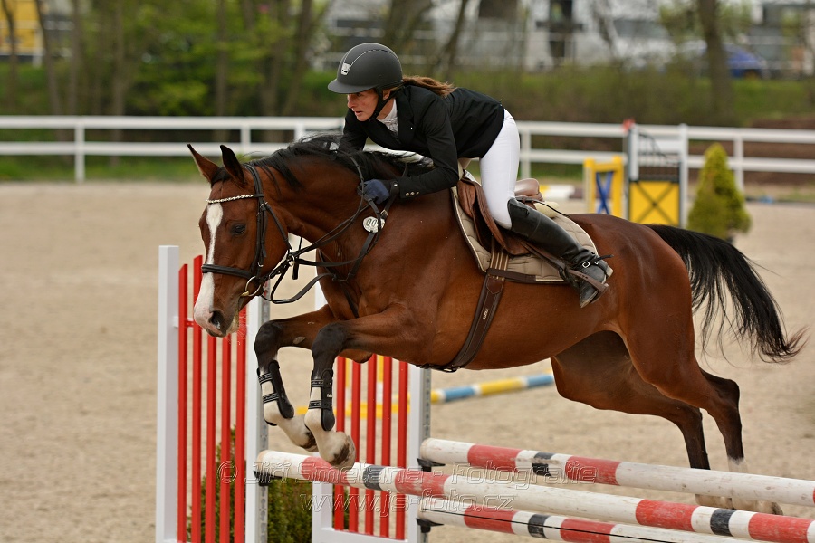 Skoková soutěž stupně „Z“