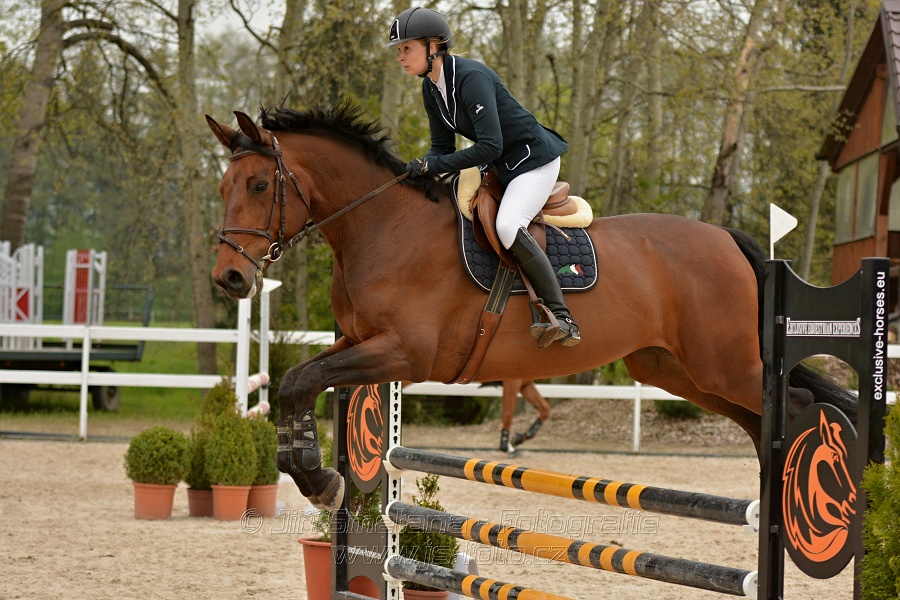 Skoková soutěž stupně „Z“