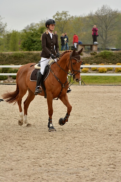 Skoková soutěž stupně „Z“