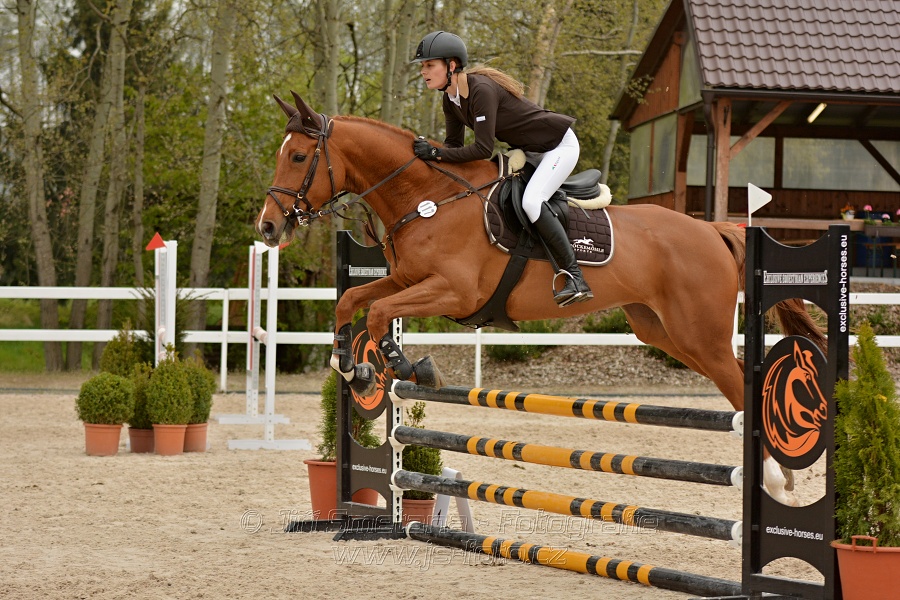 Skoková soutěž stupně „Z“