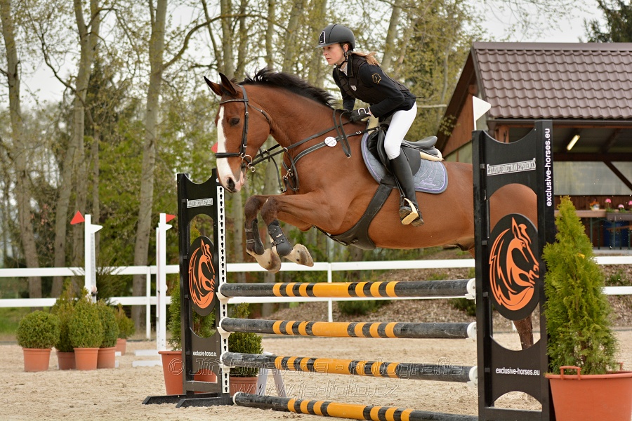 Skoková soutěž stupně „Z“