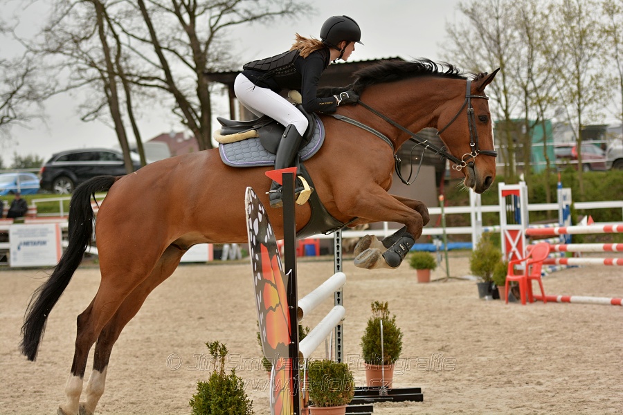 Skoková soutěž stupně „Z“