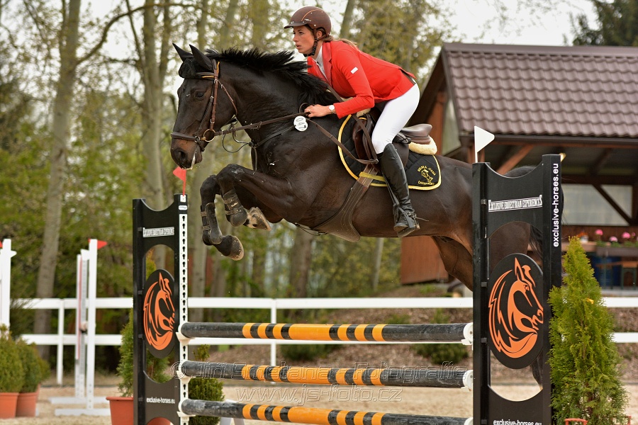 Skoková soutěž stupně „Z“