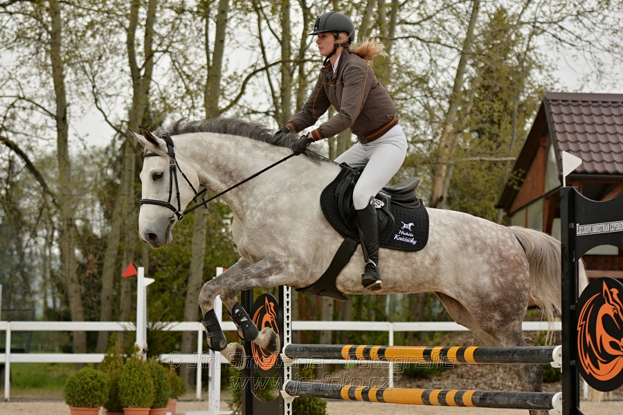 Skoková soutěž stupně „Z“