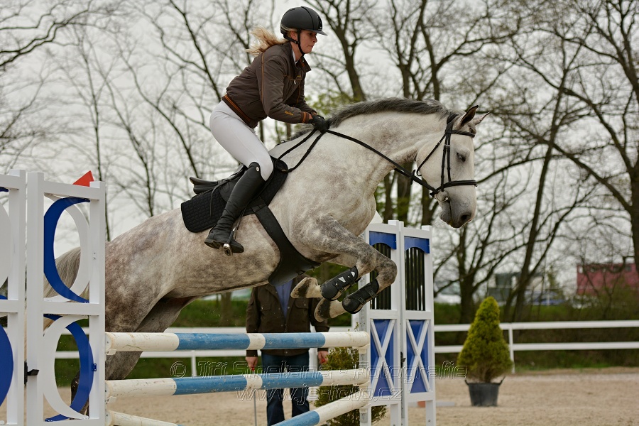 Skoková soutěž stupně „Z“