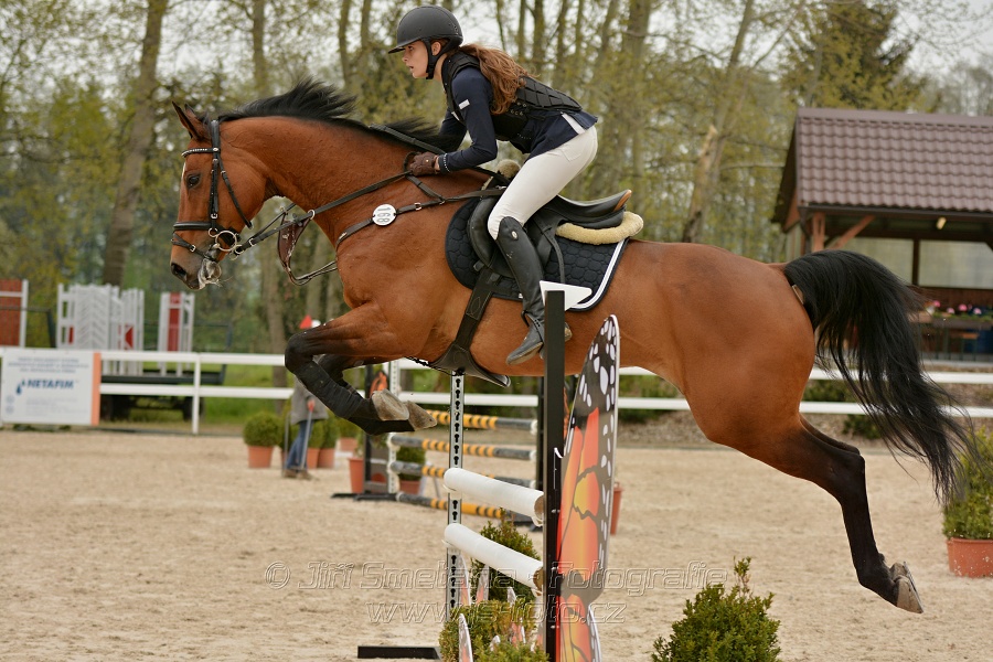 Skoková soutěž stupně „Z“