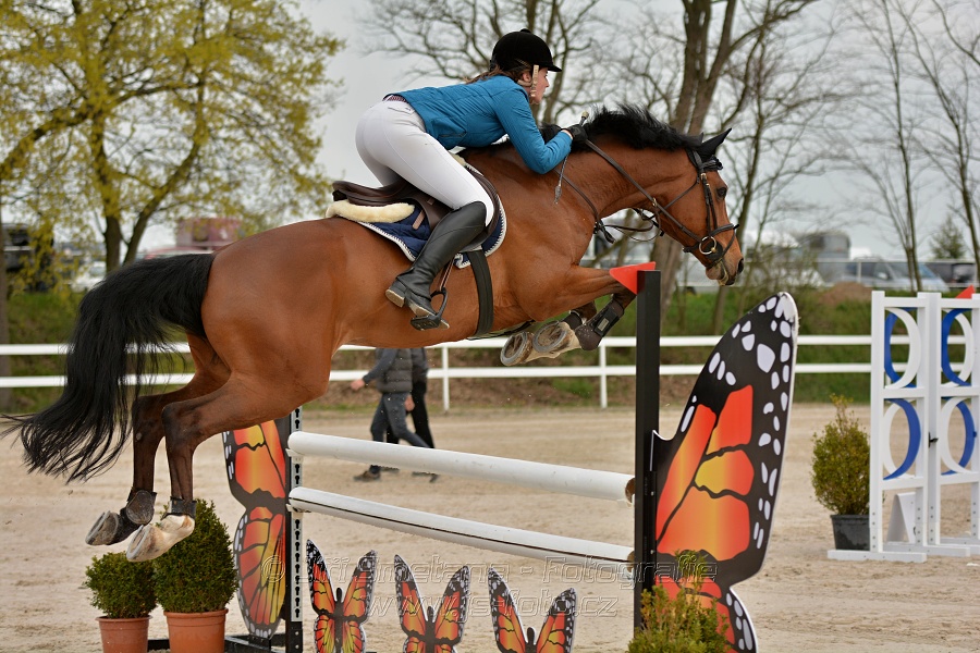 Skoková soutěž stupně „ZL“ na čas