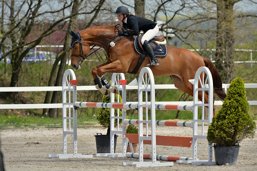 Skoková soutěž stupně „ZL“ na čas